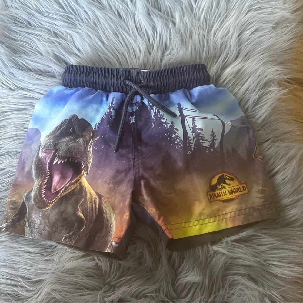 3T Boys swim trunks
